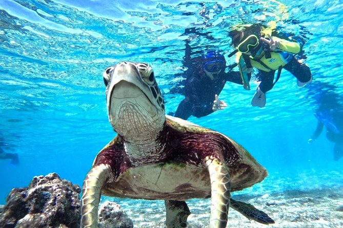 Okinawa Miyako Beach SUP or Canoe and sea turtle Snorkeling - Two Miyakojima water activities in one day
