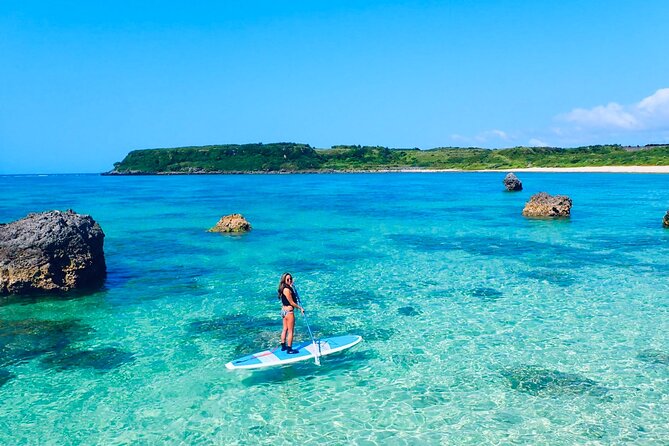 Okinawa Miyako Beach SUP or Canoe and sea turtle Snorkeling - The snorkeling session and sea life