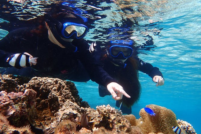 Okinawa Miyako Beach SUP or Canoe and sea turtle Snorkeling - Meeting point, transport, and lunch