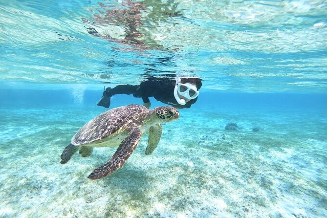 Okinawa Miyako Beach SUP or Canoe and sea turtle Snorkeling - Choosing between SUP and canoe