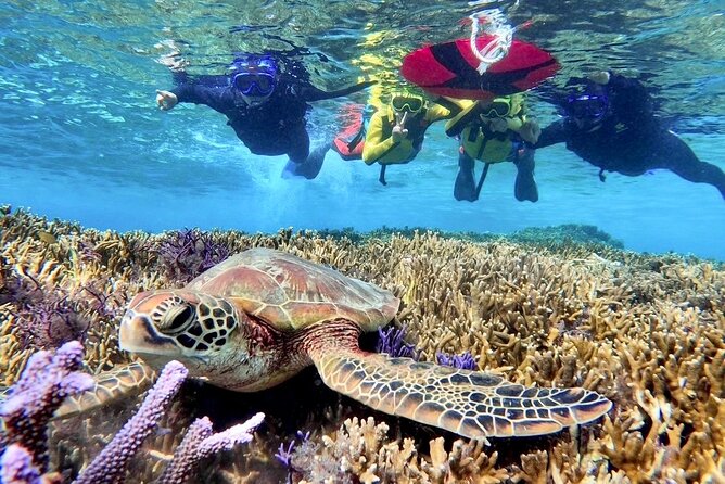 Okinawa Miyakojima 1 day Sea Turtle Snorkeling & Pumpkin Cave & Sea Kayak - Physical demands and what to wear