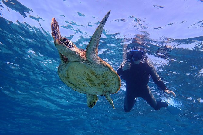 Okinawa Miyakojima 1 day Sea Turtle Snorkeling & Pumpkin Cave & Sea Kayak - Weather, tides, and changing plans