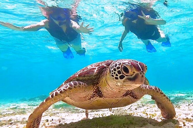 Okinawa Miyakojima 1 day Sea Turtle Snorkeling & Pumpkin Cave & Sea Kayak - Who should book this tour?