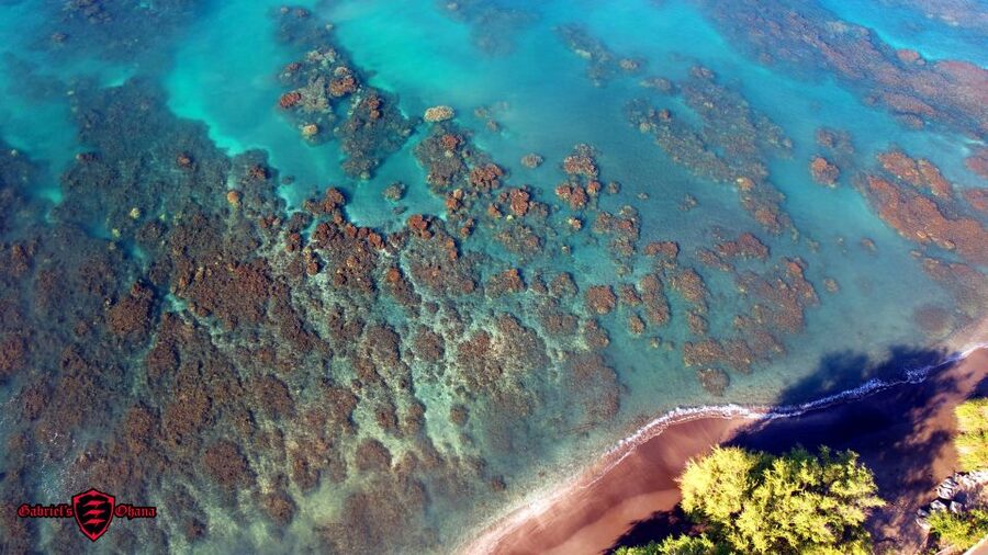 Olowalu: Guided Clear Kayak Tour - Unlimited - A low-waste approach that you can see in practice