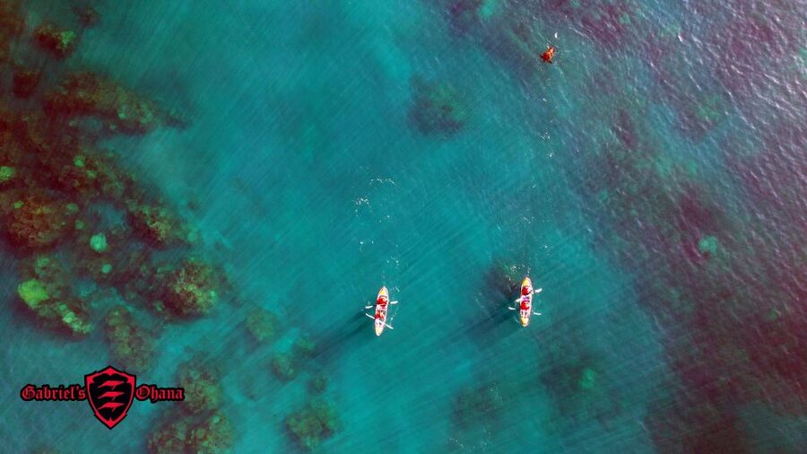 Olowalu: Guided Clear Kayak Tour - Unlimited - Is $129 a fair price?