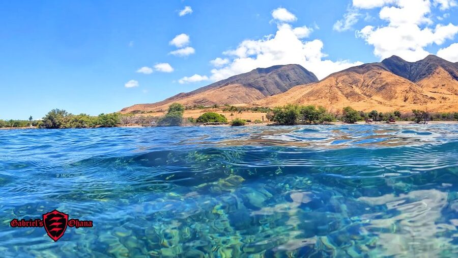 Olowalu: Guided Clear Kayak Tour - Unlimited - Seeing Olowalu Reef through the kayak