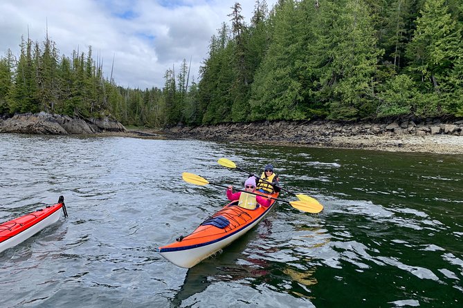 Orca Cove Sea Kayaking - Wildlife sightings are a bonus, not the product