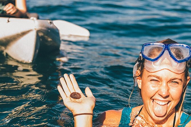 Original La Jolla Sea Cave Kayak Tour for Two - Wildlife sightings are never guaranteed