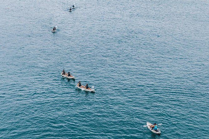 Original La Jolla Sea Cave Kayak Tour for Two - Price, group size, and extra charges