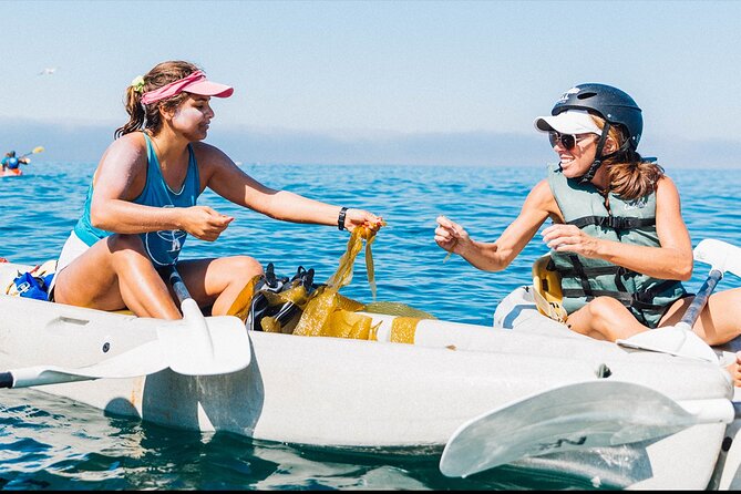 Original La Jolla Sea Cave Kayak Tour for Two - Paddling through La Jolla Ecological Reserve