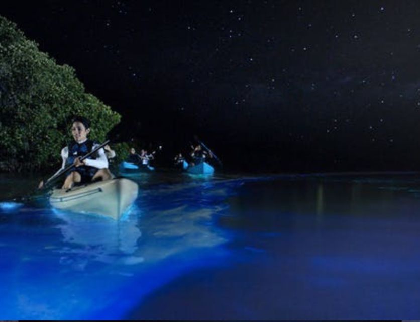 Orlando: Bioluminescence Clear Kayaking or Paddleboarding - A glowing paddle near Titusville