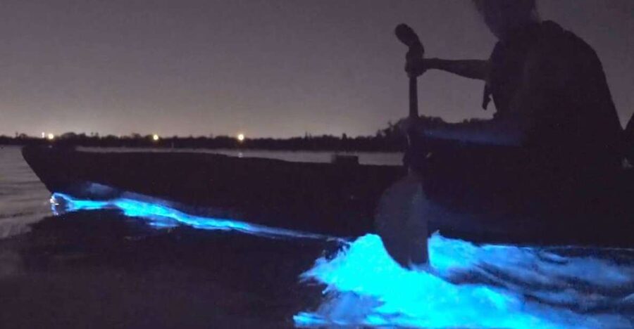 Orlando: Bioluminescence Clear Kayaking or Paddleboarding - Sunset first, glowing water later