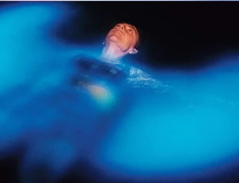Orlando: Bioluminescence Clear Kayaking or Paddleboarding - Wildlife in a busy lagoon ecosystem