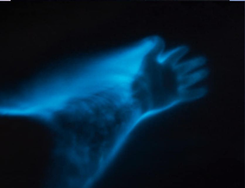Orlando: Bioluminescence Clear Kayaking or Paddleboarding - Who will enjoy this outing most
