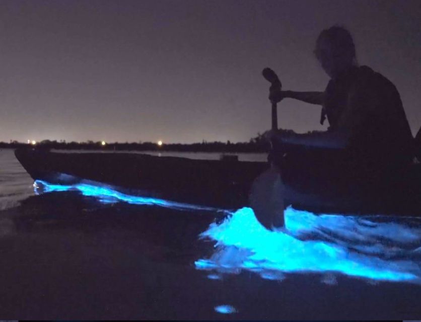 Orlando: Bioluminescence Clear Kayaking or Paddleboarding - Weather, alternate sites, and practical planning