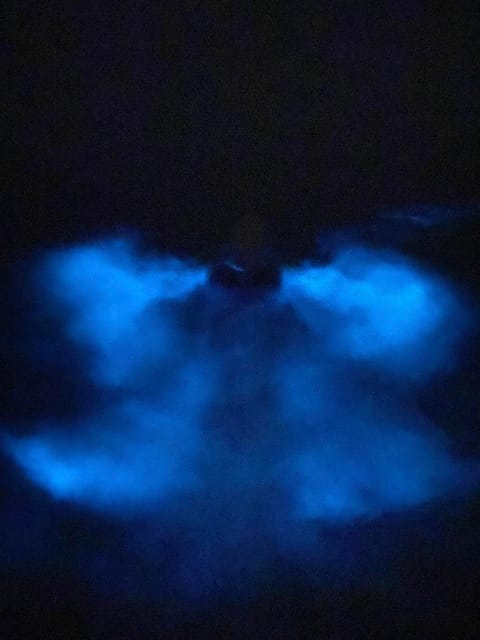 Orlando: Bioluminescence Kayak Tour - From Highway 528 to the Launch Point