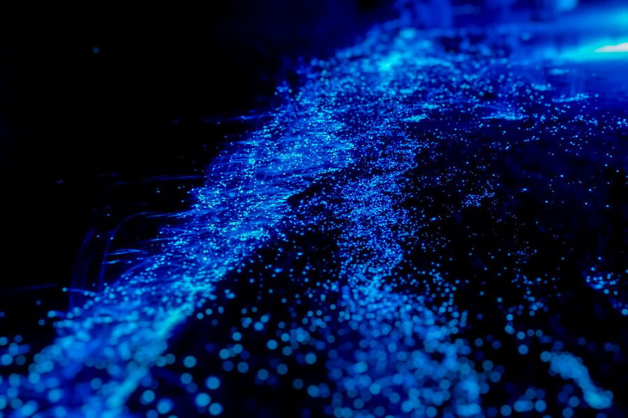 Orlando: Bioluminescence Kayak Tour - Getting Ready for a Night Paddle
