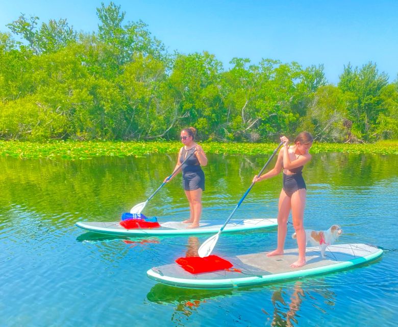 Orlando: Clear Kayak and Paddleboard 2-Hour Rental - Should You Book This Lake Ivanhoe Outing?
