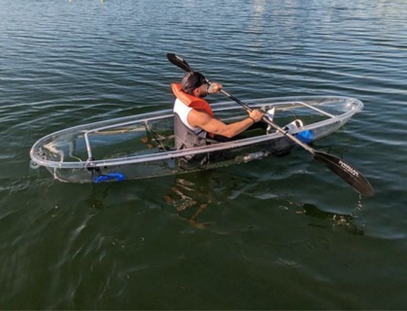 Orlando: Clear Kayak and Paddleboard 2-Hour Rental - Wildlife, Waves, and the Real Feel of the Water