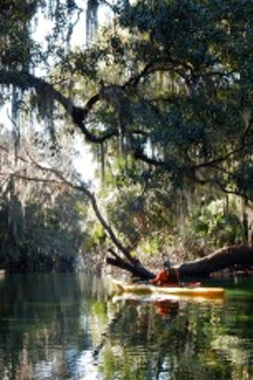Orlando: Kayaking Tour with Manatee Encounter - Key points to know before you book