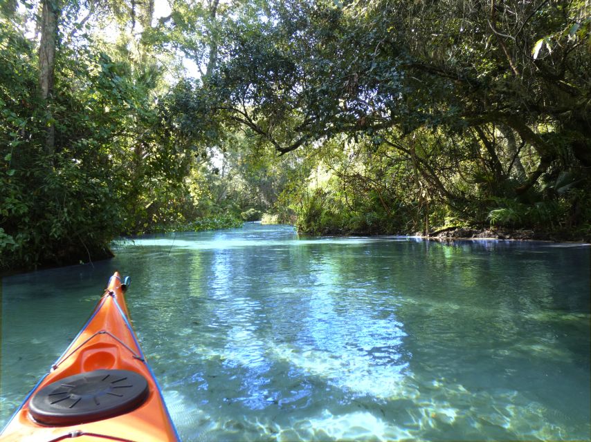 Orlando: Small Group Rock Springs Run Kayak Tour - Key points to know before you paddle