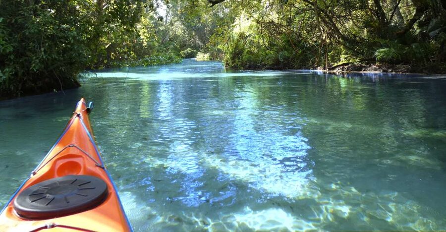 Orlando: Small Group Rock Springs Run Kayak Tour - Paddling upstream through clear water