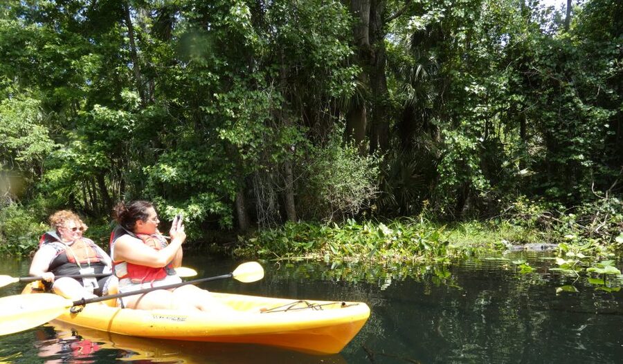 Orlando: Small Group Rock Springs Run Kayak Tour - Drifting downstream through the river bends