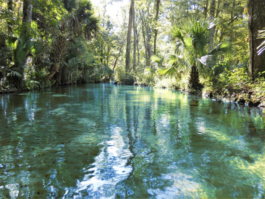 Orlando: Small Group Rock Springs Run Kayak Tour - Price, inclusions, and overall value