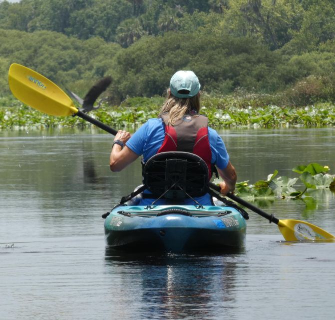 Orlando: Small Group Scenic Wekiva River Kayak Tour - Why the Wekiva River feels far from Orlando