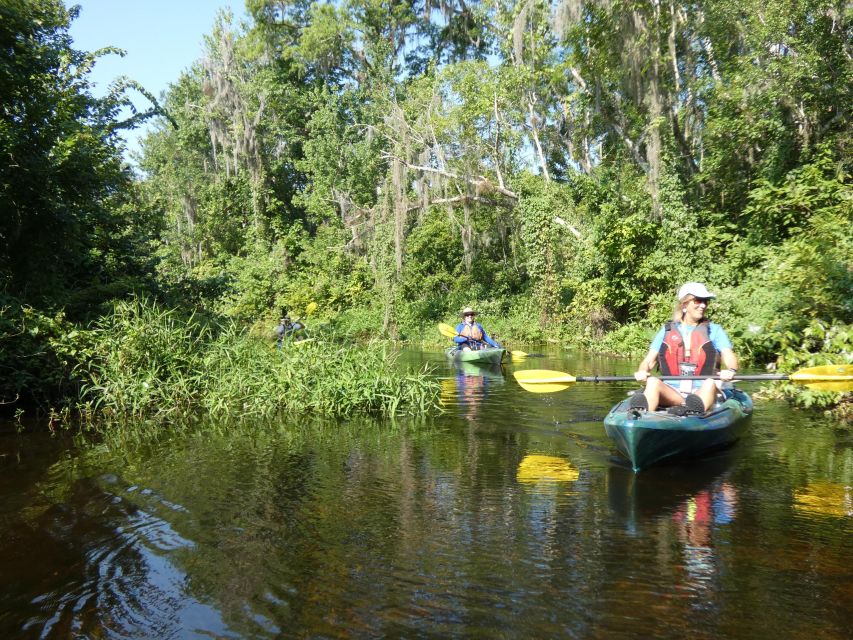 Orlando: Small Group Scenic Wekiva River Kayak Tour - What the $80 price includes