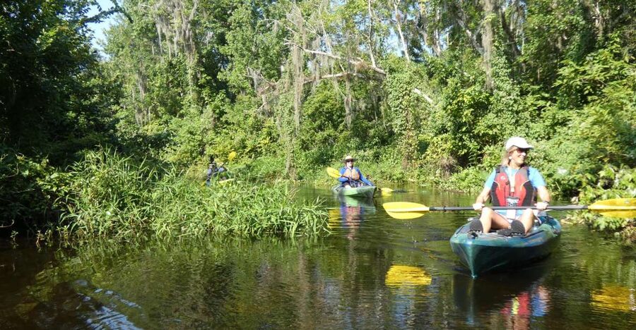 Orlando: Small Group Scenic Wekiva River Kayak Tour - Who will enjoy this trip most