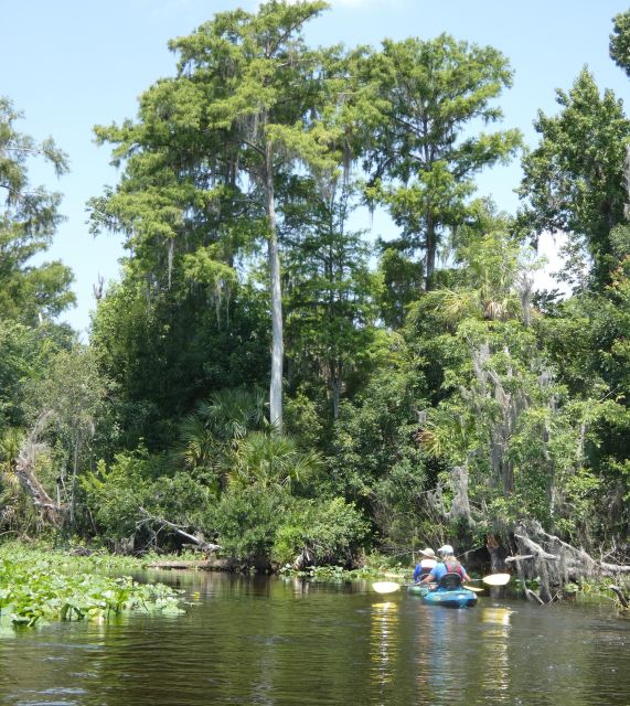 Orlando: Small Group Scenic Wekiva River Kayak Tour - What happens at Katie’s Landing