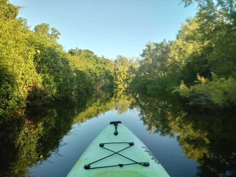 Orosei: Guided Kayak Tour of the Biderosa Oasis at Sunset - What the guide adds to the experience