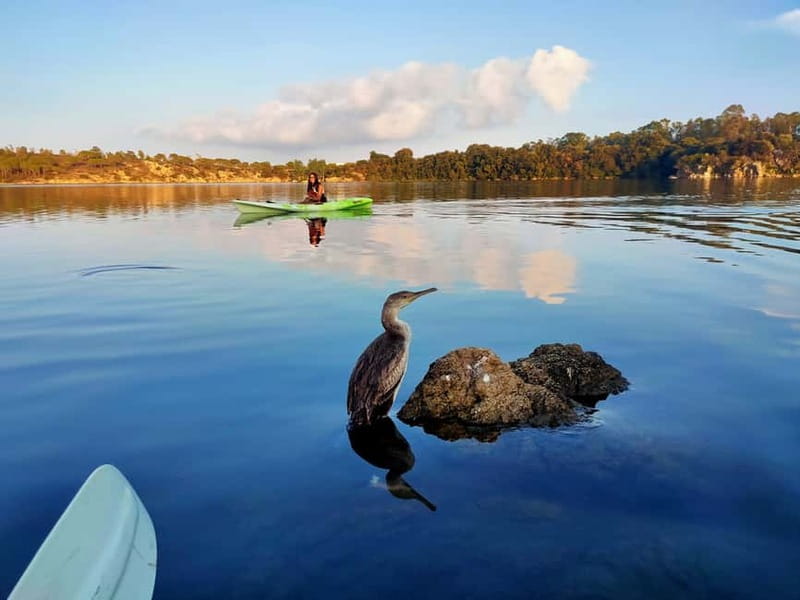 Orosei: Guided Kayak Tour of the Biderosa Oasis at Sunset - The first paddle: clear water and the Canal