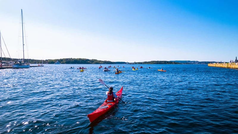 Oslo Sea Kayak Tour “Fjord City” - Oslo’s harbor from a kayak seat