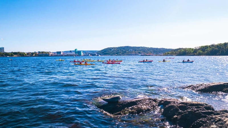 Oslo Sea Kayak Tour “Fjord City” - The first lesson: simple skills, real value