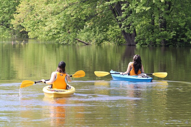 Ottawa: Ecological Reserve Kayak Tour with Turtle Sightings - A quiet reserve only 20 kilometers from Ottawa