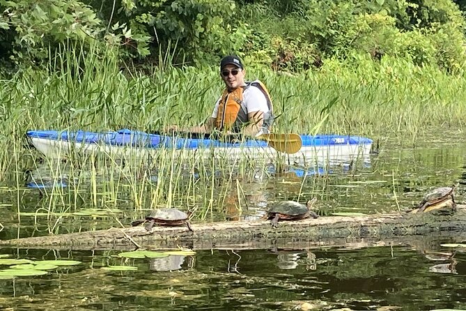 Ottawa: Ecological Reserve Kayak Tour with Turtle Sightings - Clothing, comfort, and wet feet