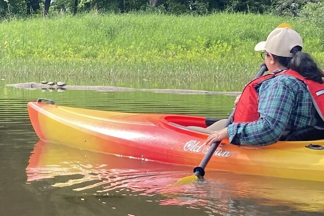 Ottawa: Ecological Reserve Kayak Tour with Turtle Sightings - Who will enjoy this Ottawa kayak tour