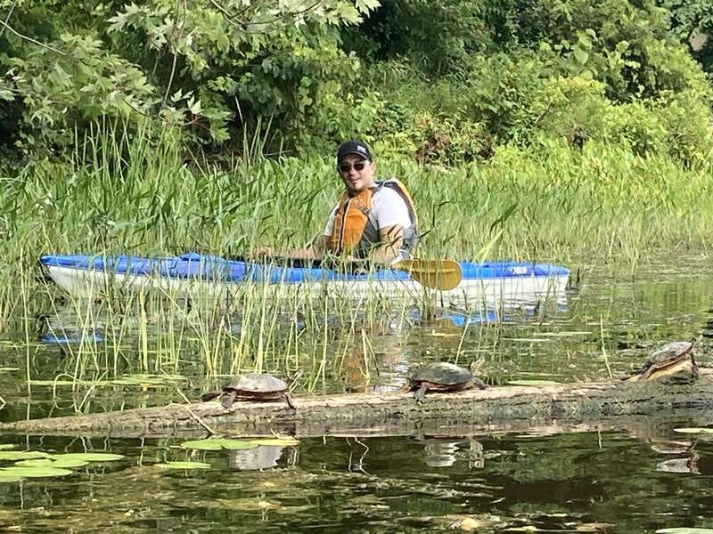 Ottawa: Ecological Reserve Kayak Tour with Turtle Sightings - Should you book the Petrie Island paddle?