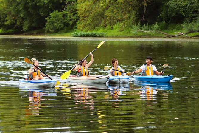 Ottawa: Ecological Reserve Kayak Tour with Turtle Sightings - Paddling the inlets around Petrie Island