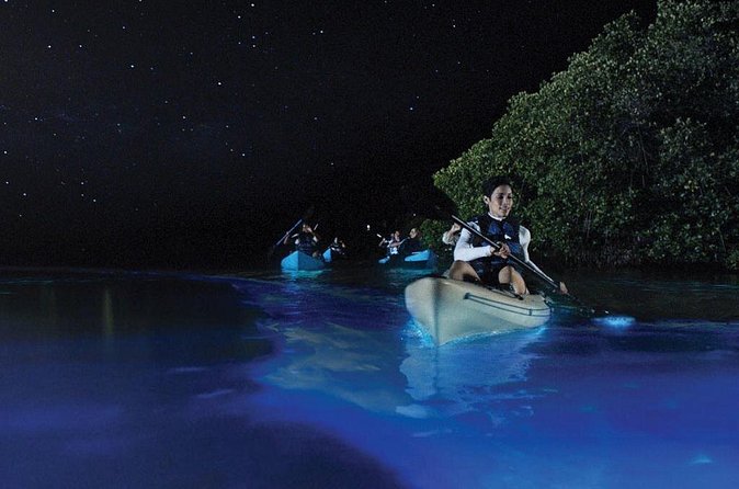 Overnight Bio Bay Kayak Tour in Vieques Island - What the $65.99 price really covers