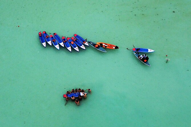 Paddle at Dawn with visit to Cenotes and Islands - Cenote Esmeralda and the mirror-water effect