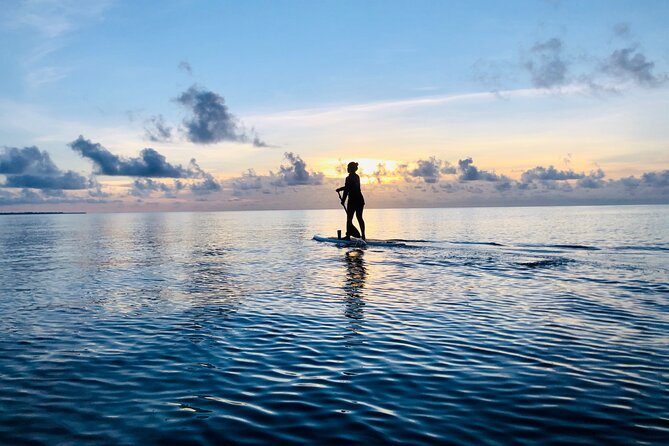 Paddle Board at Sunrise or Sunset in Cancun - Meeting at Kukulcan Boulevard, Kilometer 3.5