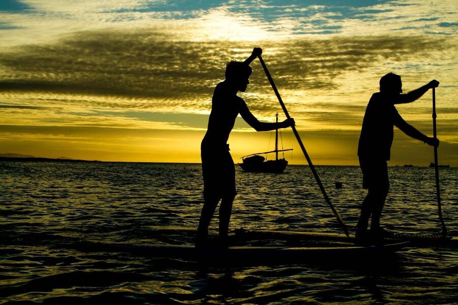 Paddle Board Rental: Glide on the Water with Ease - What happens during the one-hour session
