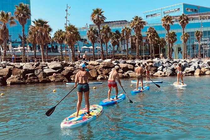 Paddle Surfing in Barcelona - Price and value at $23.97