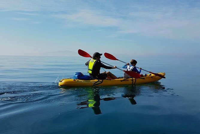 Paddle with the Penguins - Paddling toward African penguin habitat