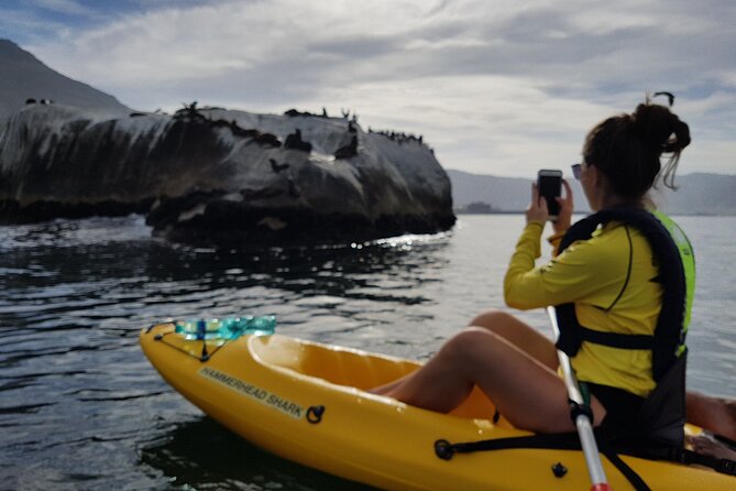 Paddle with the Penguins - Terry adds the local context