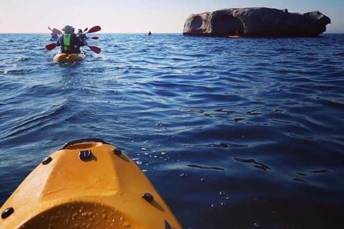 Paddle with the Penguins - Conservation gives the outing more purpose