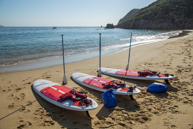 Paddleboard Expedition to the Arch of Cabo San Lucas, Lovers Beach & Snorkel - Lovers Beach, Divorce Beach, and a welcome break